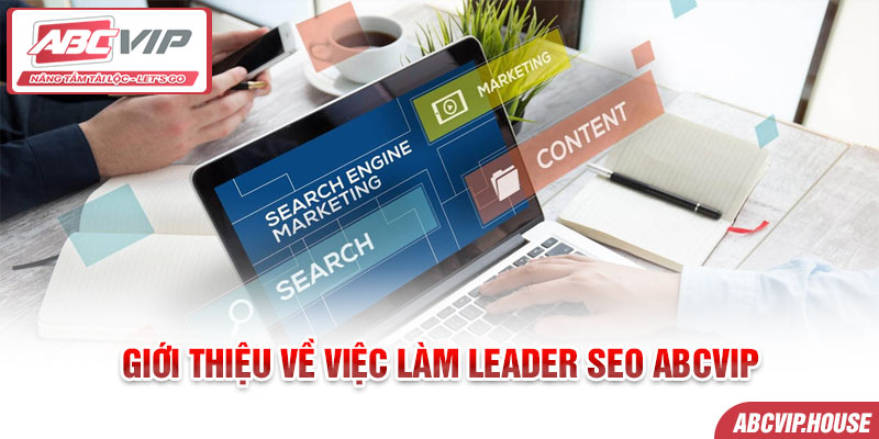 Giới thiệu về việc làm Leader SEO ABCVIP