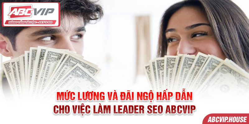 Mức lương và đãi ngộ hấp dẫn cho việc làm Leader SEO ABCVIP